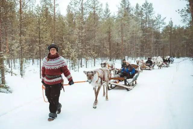 איילי אפוקה בלפלנד (Apukka Reindeer) credit to getyourguide.com