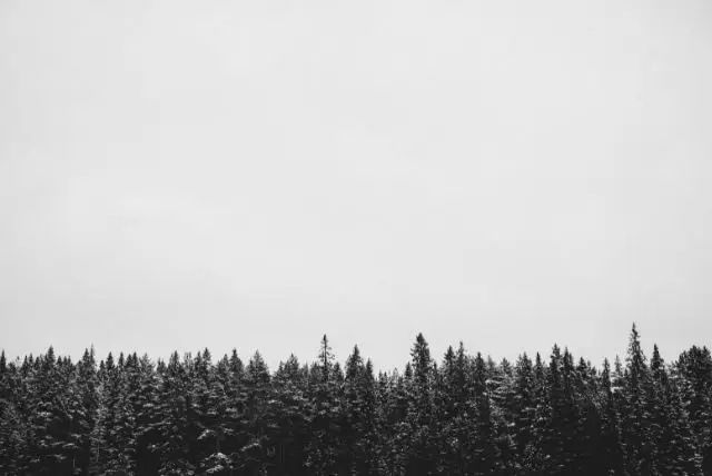 לולאה (Luleå), שוודיה - עיר חוף צפונית עם ארכיפלג קפוא בחורף