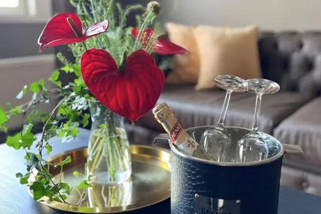 מלון גולדן לפלנד - Hotel Golden Circle Suites credit to booking.com