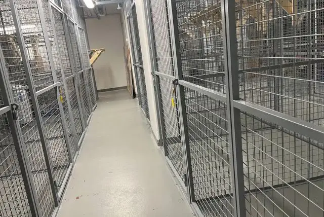 שמירת חפצים, תיקים ומזוודות ברובניימי credit to getyourguide.com