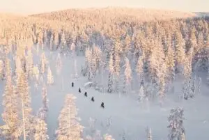 טיול אופניים בשלג של לפלנד credit to getyourguide.com