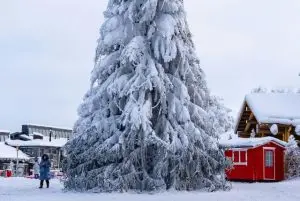 10 ימים בלפלנד מסלול טיול והמלצות לתכנון הטיול