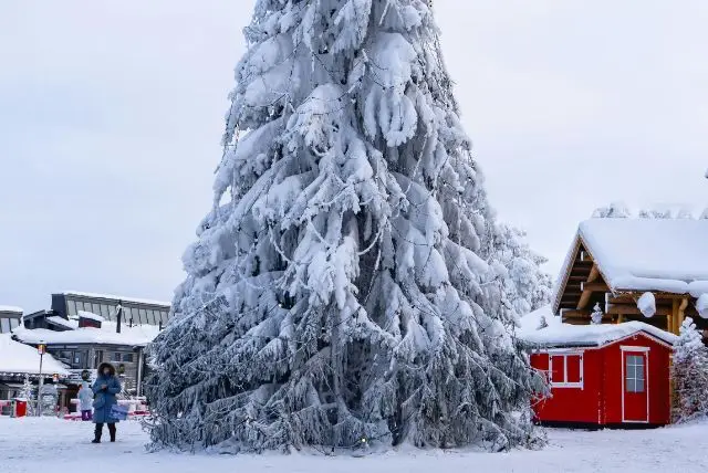 10 ימים בלפלנד מסלול טיול והמלצות לתכנון הטיול