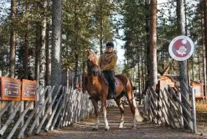 טיול רכיבה על סוסים בלפלנד credit to getyourguide.com