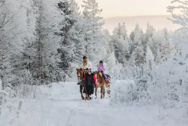 טיול רכיבה על סוסים בלפלנד credit to getyourguide.com