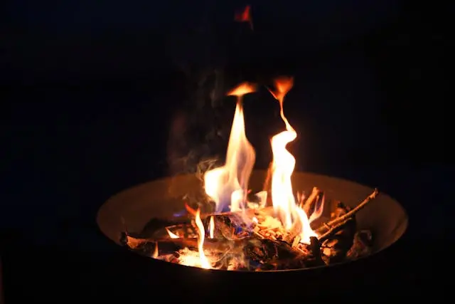 🔥 Lapland Restaurant Kotahovi