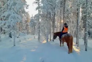 סיור רכיבה על סוסים במסלול הארקטי באיזור סאריסלקה (Saariselkä) credit to getyourguide.com
