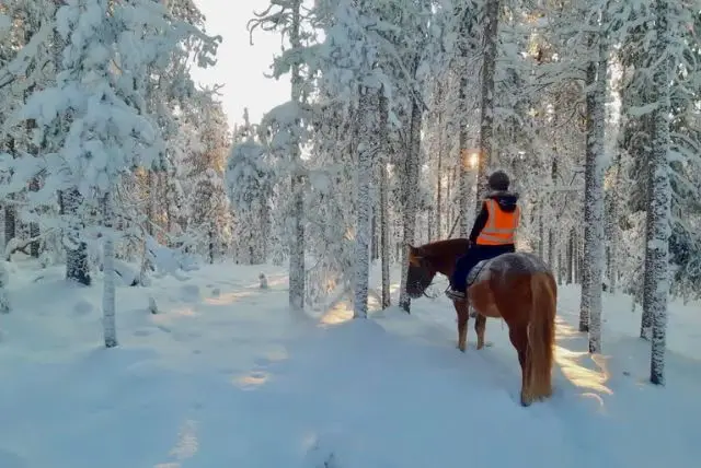 סיור רכיבה על סוסים במסלול הארקטי באיזור סאריסלקה (Saariselkä) credit to getyourguide.com