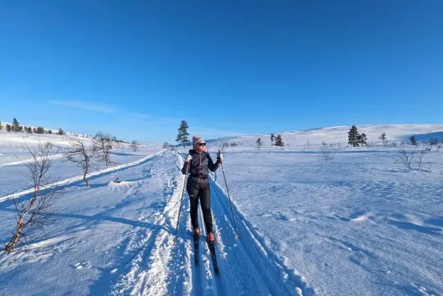 שיעור קרוס קאנטרי סקי עם מדריך בלפלנד credit to getyourguide.com