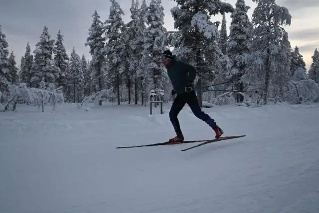 שיעור קרוס קאנטרי סקי עם מדריך בלפלנד credit to getyourguide.com