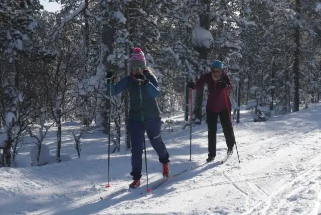 שיעור קרוס קאנטרי סקי עם מדריך בלפלנד credit to getyourguide.com