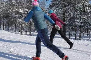 שיעור קרוס קאנטרי סקי עם מדריך בלפלנד credit to getyourguide.com