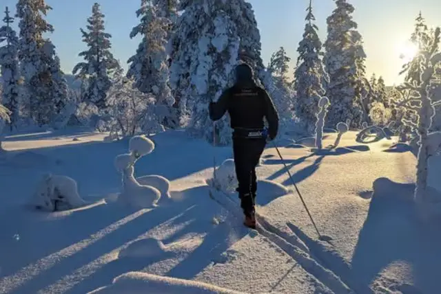 סיור סקי בטבע של לפלנד. גלשו ביערות ובהרים, וצפו בחיות בר מקומיות כמו ציפורים, ארנבות ואיילים. credit to getyourguide.com