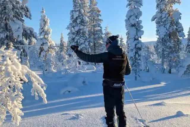 סיור סקי בטבע של לפלנד. גלשו ביערות ובהרים, וצפו בחיות בר מקומיות כמו ציפורים, ארנבות ואיילים. credit to getyourguide.com