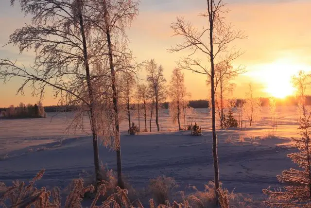 לפלנד בחודש יוני - מה צריך לדעת על מזג האוויר, אירועים מיוחדים, פעילויות, שמש חצות ועוד!