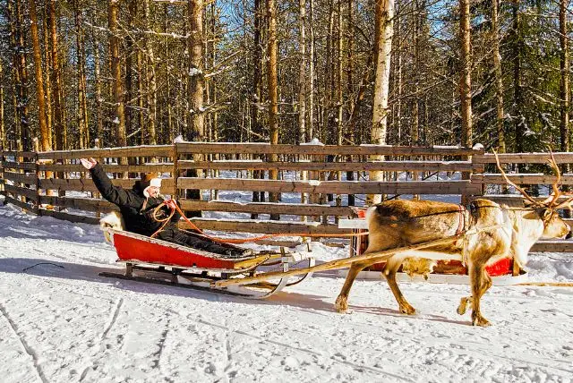 רובניימי בקיץ או בחורף? מה יותר מומלץ?