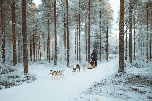 פארק הפנטזיה הארקטית בלפלנד credit to getyourguide.com