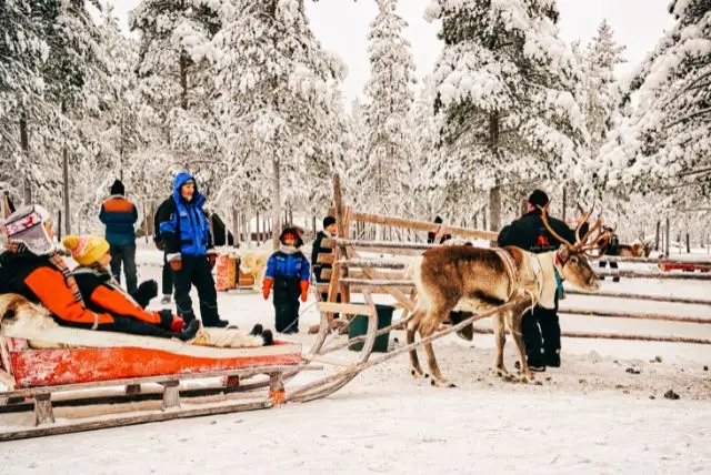 רובניימי מה לעשות במהלך היום? מה לעשות בלילה?