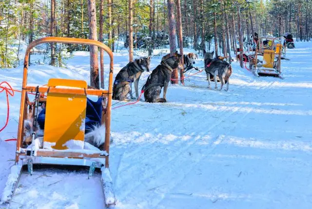 לפלנד בחודש פברואר - מה צריך לדעת על מזג האוויר, אירועים מיוחדים, פעילויות, אורות הצפון ועוד!
