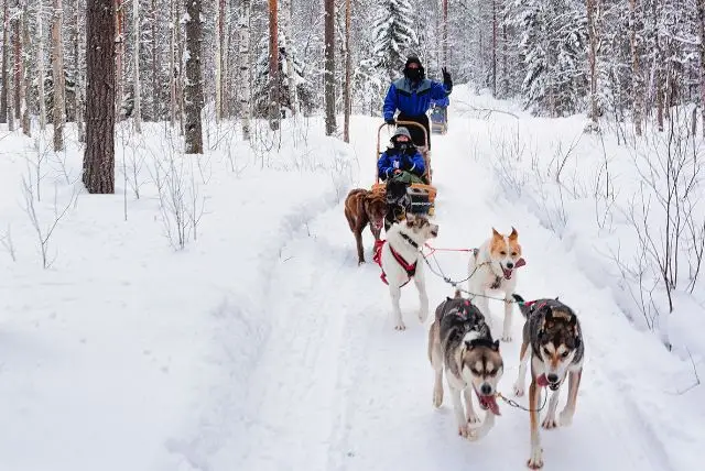 לפלנד בחודש מרץ - מה צריך לדעת על מזג האוויר, אירועים מיוחדים, פעילויות, אורות הצפון ועוד!