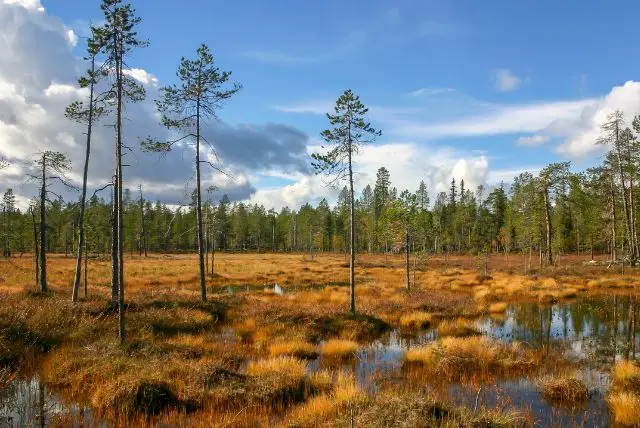 לפלנד בחודש יולי - מה צריך לדעת על מזג האוויר, אירועים מיוחדים, פעילויות, שמש חצות ועוד!
