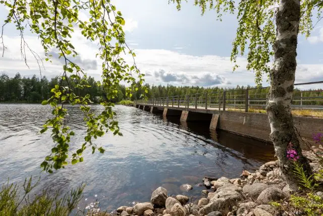 לפלנד בחודש אוגוסט - מה צריך לדעת על מזג האוויר, אירועים מיוחדים, פעילויות, טבע וקיץ ארקטי ועוד!