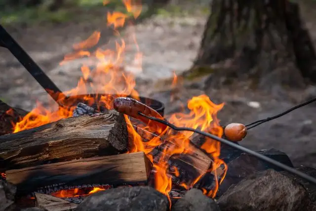 לפלנד בחודש אוגוסט - מה צריך לדעת על מזג האוויר, אירועים מיוחדים, פעילויות, טבע וקיץ ארקטי ועוד!