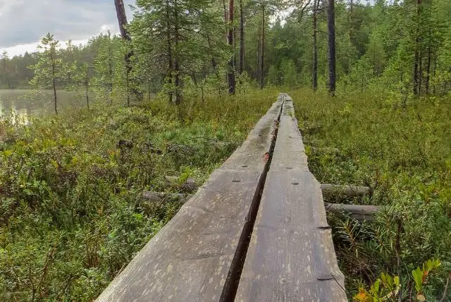 לפלנד בחודש אוגוסט - מה צריך לדעת על מזג האוויר, אירועים מיוחדים, פעילויות, טבע וקיץ ארקטי ועוד!