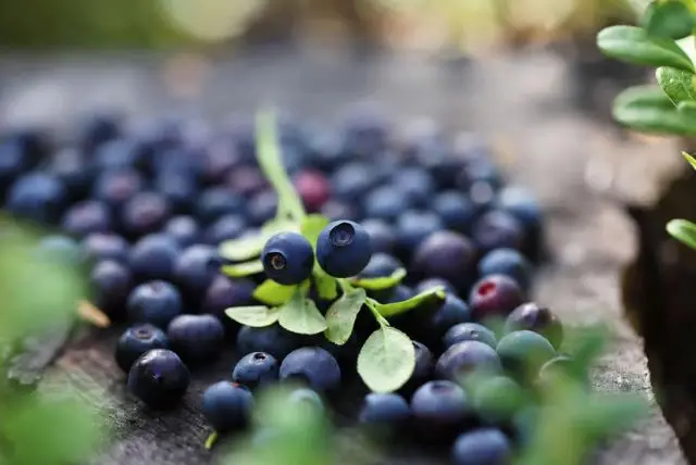 מאכלים מקומיים - מה צריך לדעת על האוכל המקומי? credit to getyourguide.com