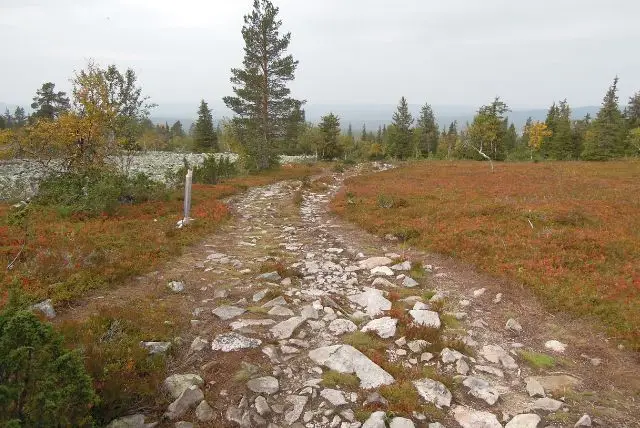 לפלנד בחודש ספטמבר - מה צריך לדעת על מזג האוויר, אירועים מיוחדים, פעילויות, אורות הצפון ושלכת ועוד!