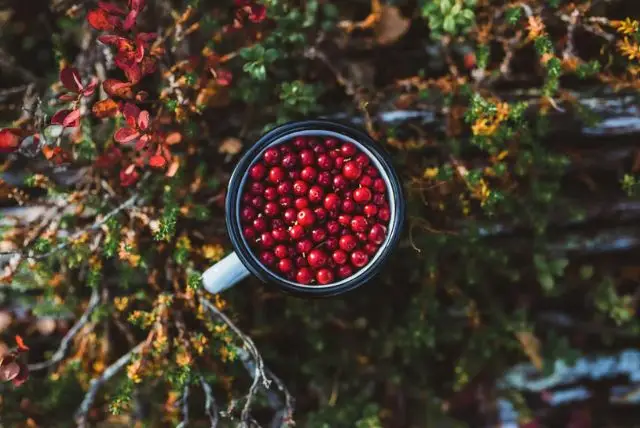 מאכלים מקומיים - מה צריך לדעת על האוכל המקומי? credit to getyourguide.com