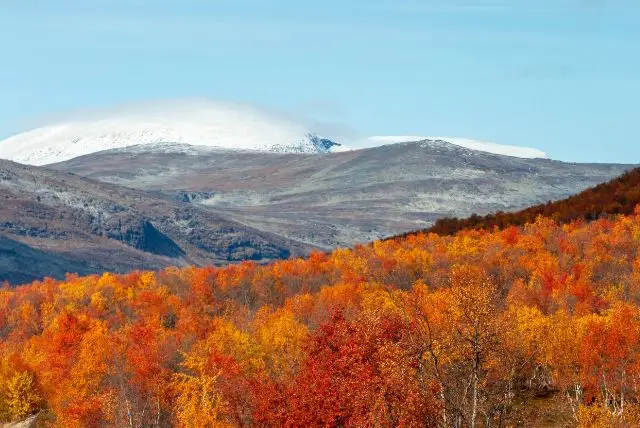 לפלנד בחודש ספטמבר - מה צריך לדעת על מזג האוויר, אירועים מיוחדים, פעילויות, אורות הצפון ושלכת ועוד!