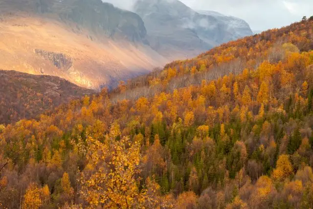 לפלנד בחודש ספטמבר - מה צריך לדעת על מזג האוויר, אירועים מיוחדים, פעילויות, אורות הצפון ושלכת ועוד!