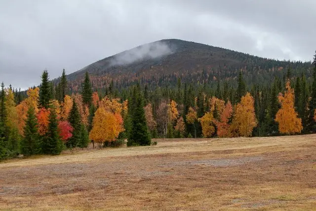 לפלנד בחודש ספטמבר - מה צריך לדעת על מזג האוויר, אירועים מיוחדים, פעילויות, אורות הצפון ושלכת ועוד!