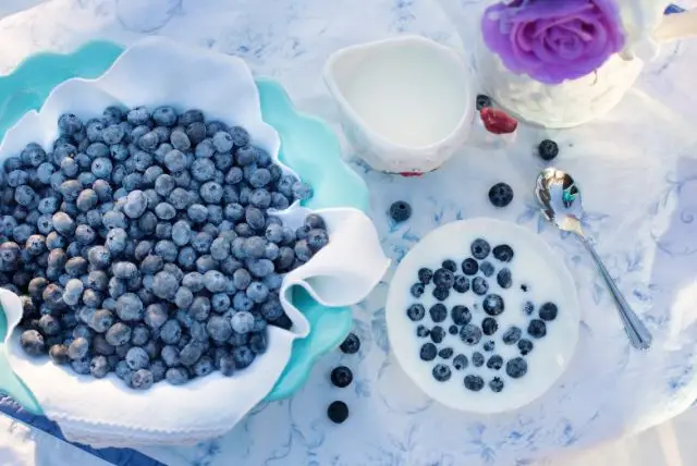 פירות יער בקינוחים בלפלנד - Cloudberries (מורקה), לינגונברי ואוכמניות