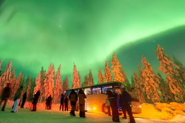 תחבורה ציבורית בלפלנד credit to getyourguide.com