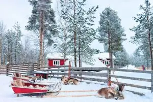 לפלנד בחודש דצמבר - מה צריך לדעת על מזג האוויר, אירועים מיוחדים, פעילויות, אווירת חג המולד ואורות הצפון ועוד!