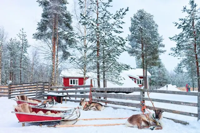 לפלנד בחודש דצמבר - מה צריך לדעת על מזג האוויר, אירועים מיוחדים, פעילויות, אווירת חג המולד ואורות הצפון ועוד!