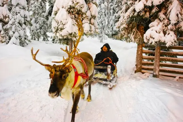חמישה דברים שאסור להחמיץ בלפלנד: מזחלות האסקי, מזחלות איילי הצפון, אופנועי שלג, הכפר של סנטה והזוהר הצפוני